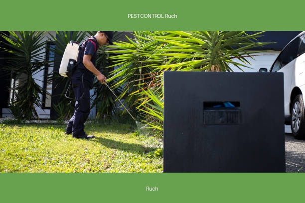 PEST CONTROL Ruch